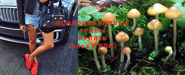 бутират Алексеевка